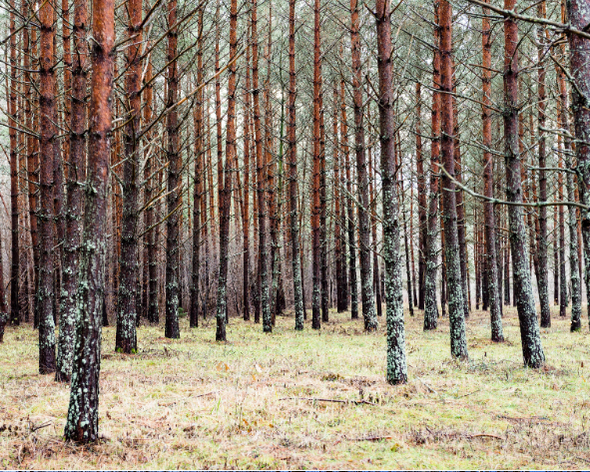 Bendraujanant Nudistų Aplinkoje: Kaip Elgtis su Kitais?