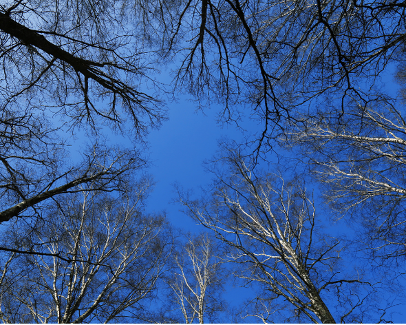 Džiaugsmas: Lietuva Turi 16 Nudistų Paplūdimių! Atnaujinta 2026 M. Apžvalga