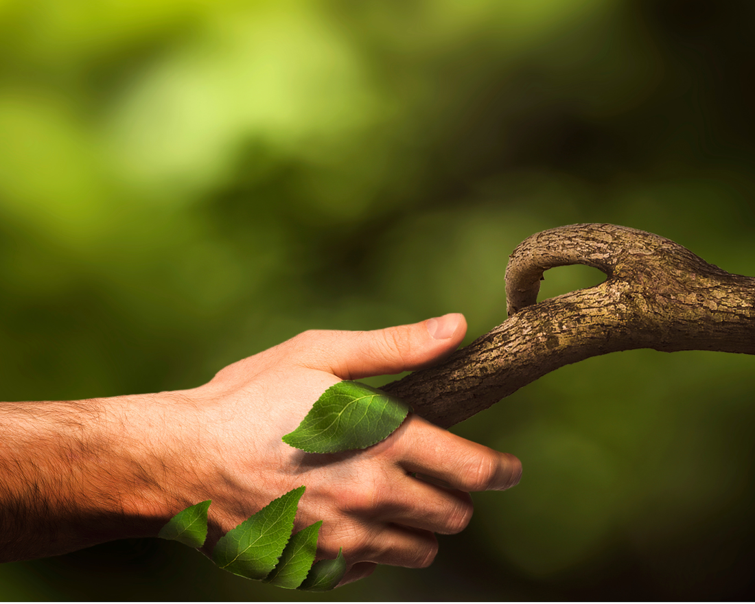 Gyvenimas nuogam: kaip izoliacija padėjo atrasti ryšį su savo kūnu