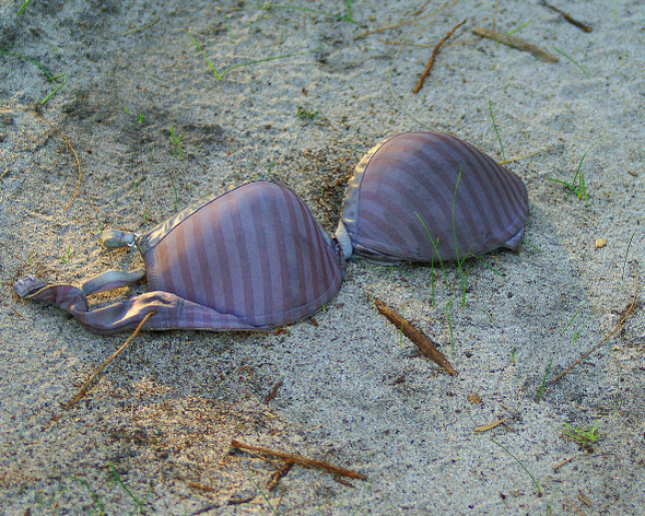 Nudizmo Bendruomenė: Ar Reikalingi Nudistų Klubai? APKLAUSOS ANALIZĖ