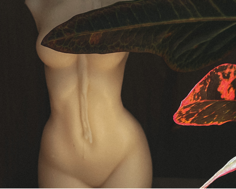 Būkime Atidūs: Nuogas Poilsis Kaip Gamtos Ritmą Atkartojantis Gyvenimo Būdas