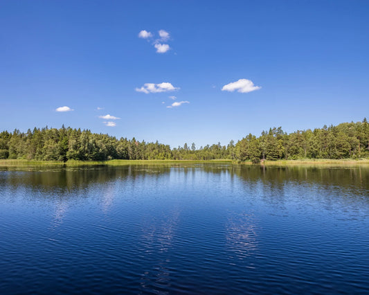 Elektrėnų nudistų paplūdimys
