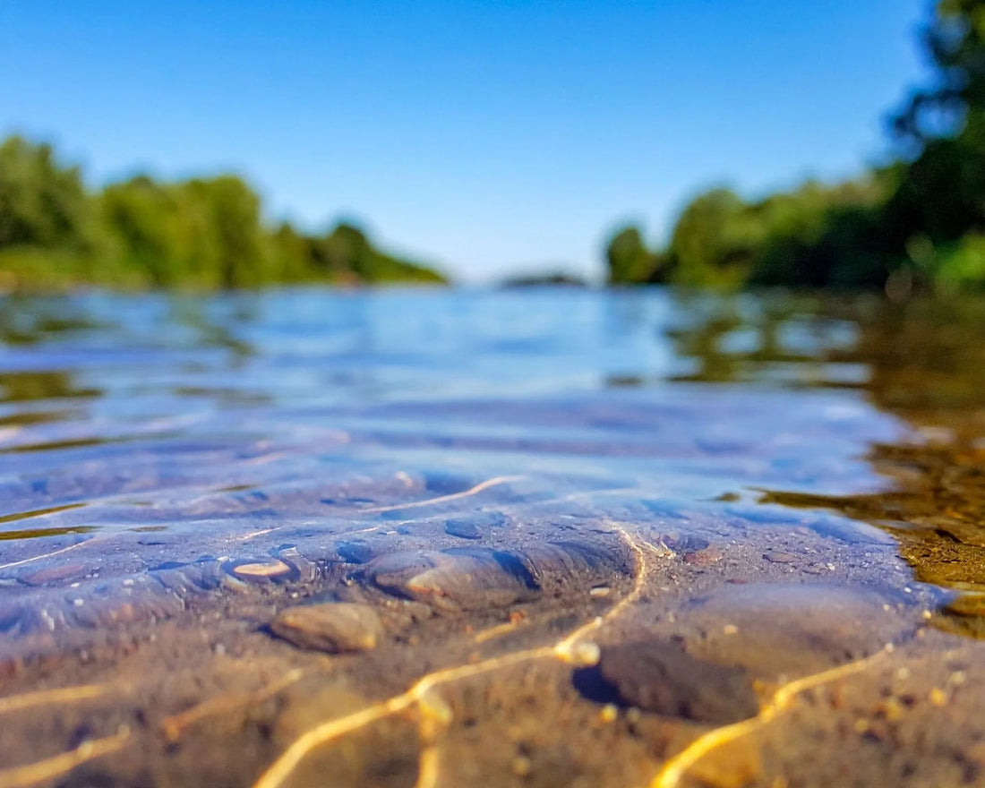 Marijampolės nudistų paplūdimys
